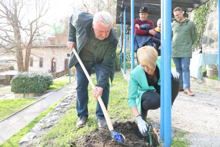 Rez kamniške potomke najstarejše vinske trte (10)
